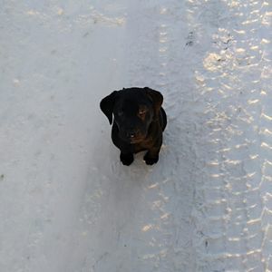 Meet your Posher, Deana